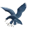 ADMU老鹰女篮